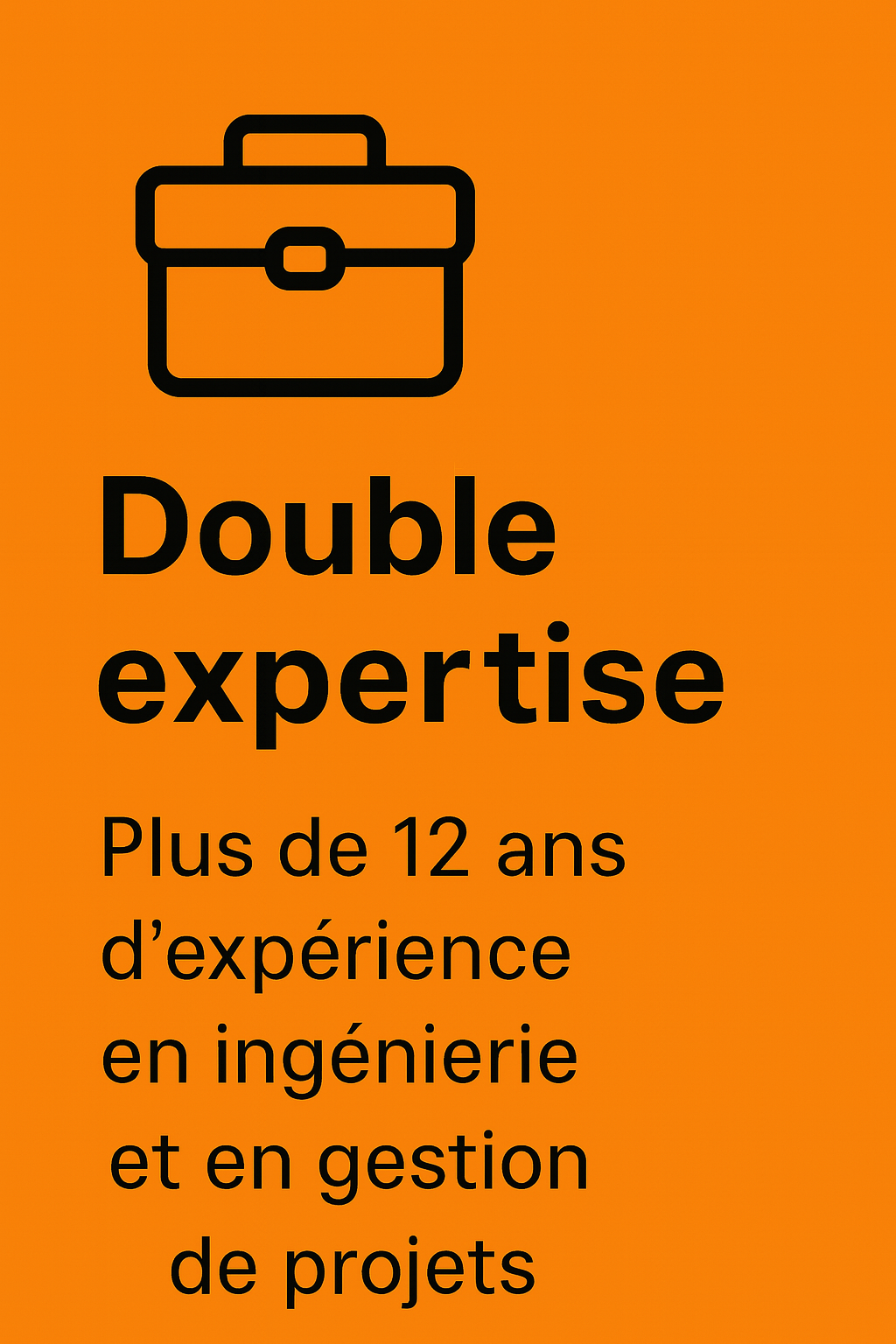 Double expertise, plus de 12 ans en ingénierie et en gestion de projets