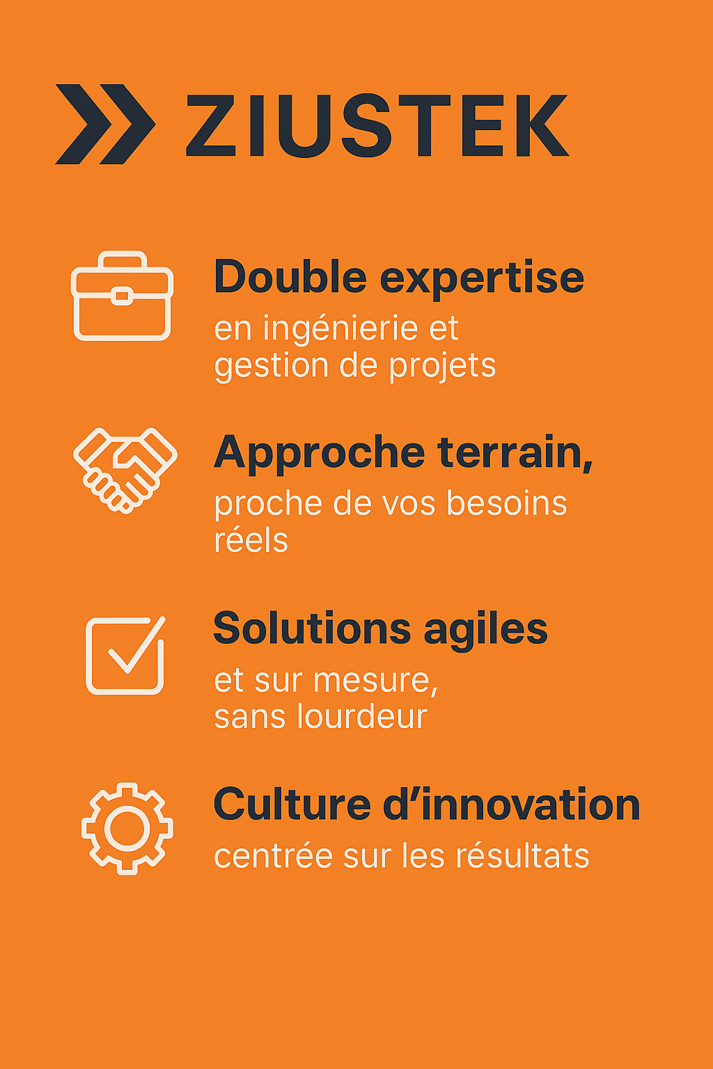 Double expertise, Approche terrain, solutions agiles, culture d'innovation